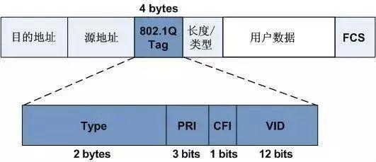 交换机的VLAN技术